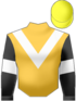 giubba